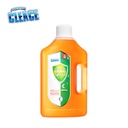 CLEA-DIS-159_2.jpg