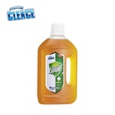 CLEA-DIS-160_2.jpg