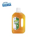 CLEACE - Disinfectant Liquid - Pcmx - Bulk